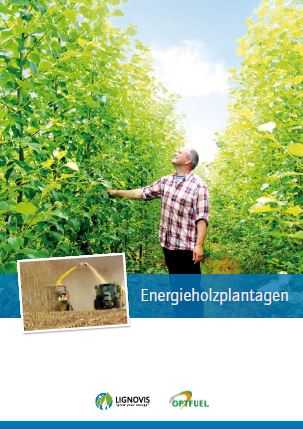 Deckblatt Lignovis Energieholzplantagen Broschüre